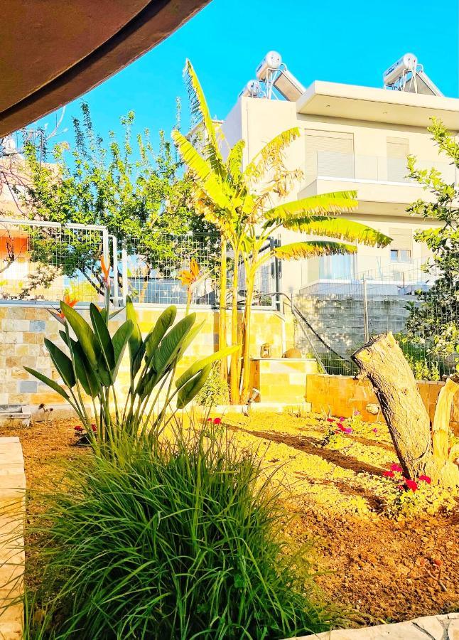 Glaros Beach Apartment Като-Дарацо Екстер'єр фото